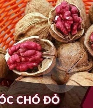 Quả Óc chó Mỹ đỏ 500GR